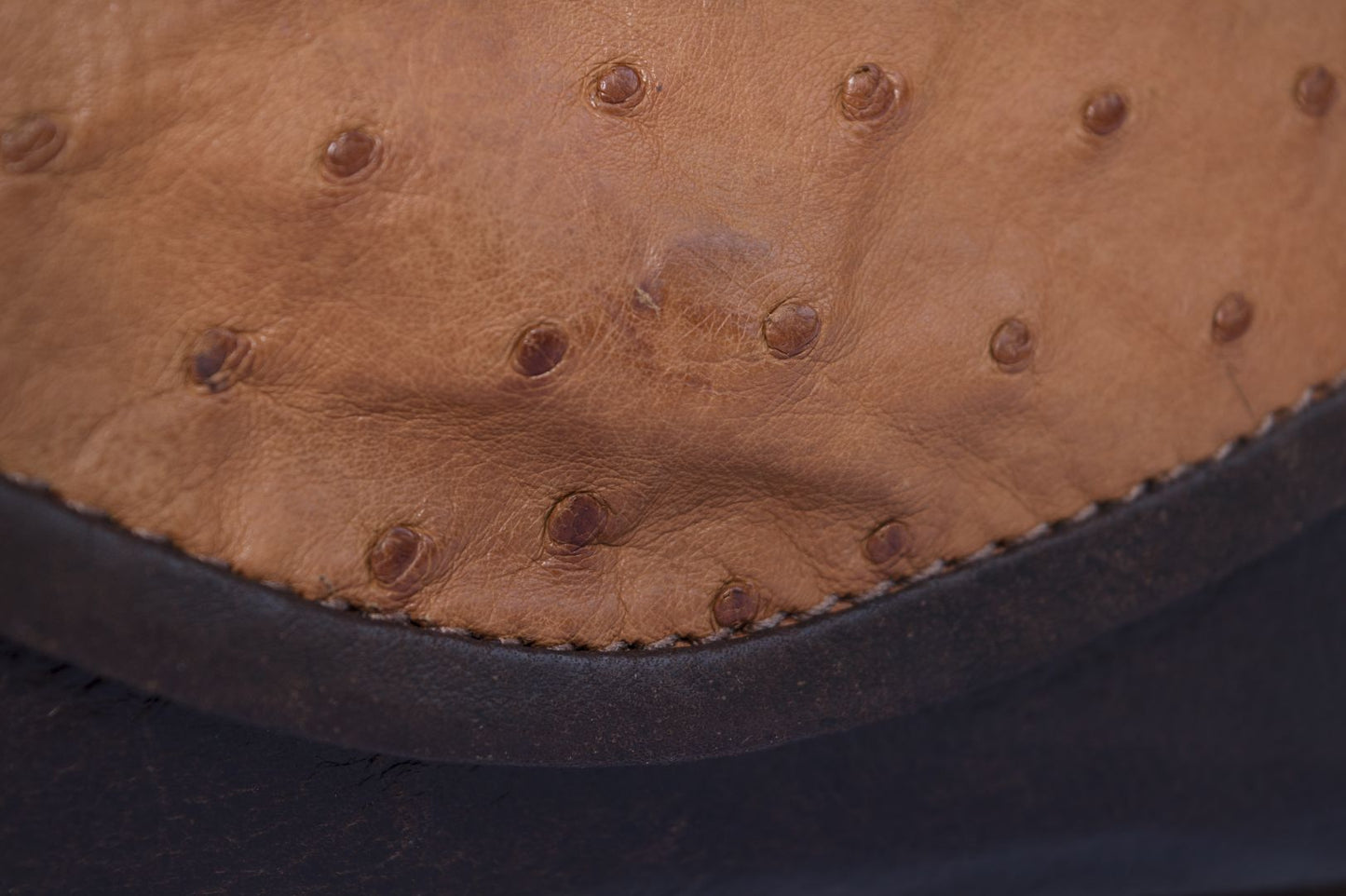 Ostrich Leather Clutch