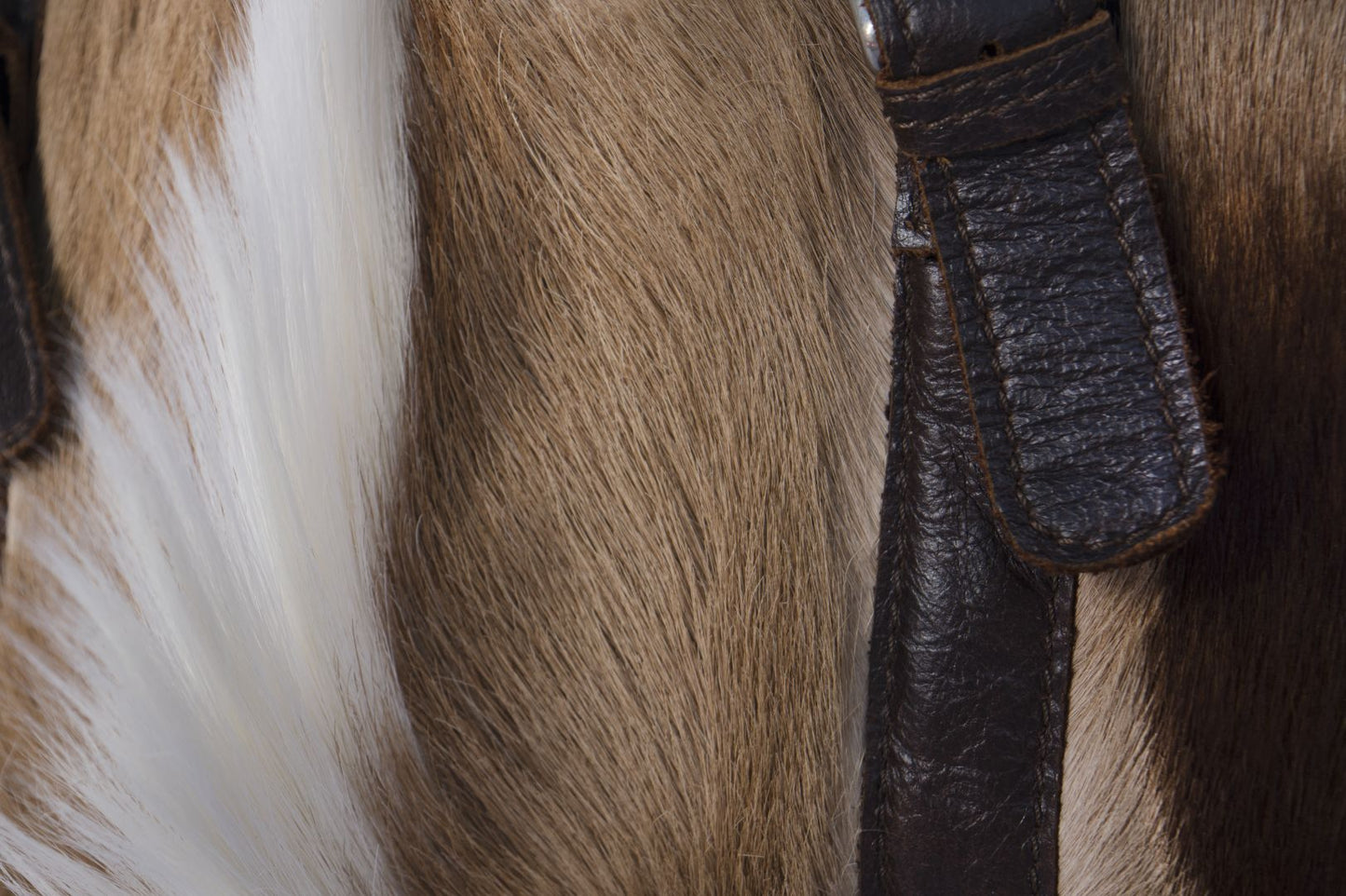 Springbok Hide Handbag with Leather Strap