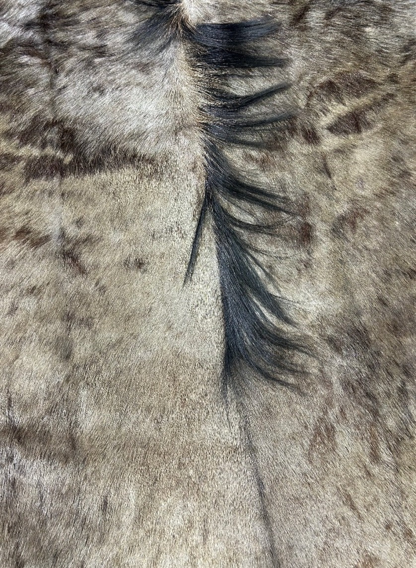 Blue Wildebeest Hide