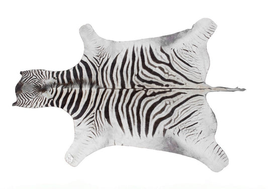 Zebra Hide