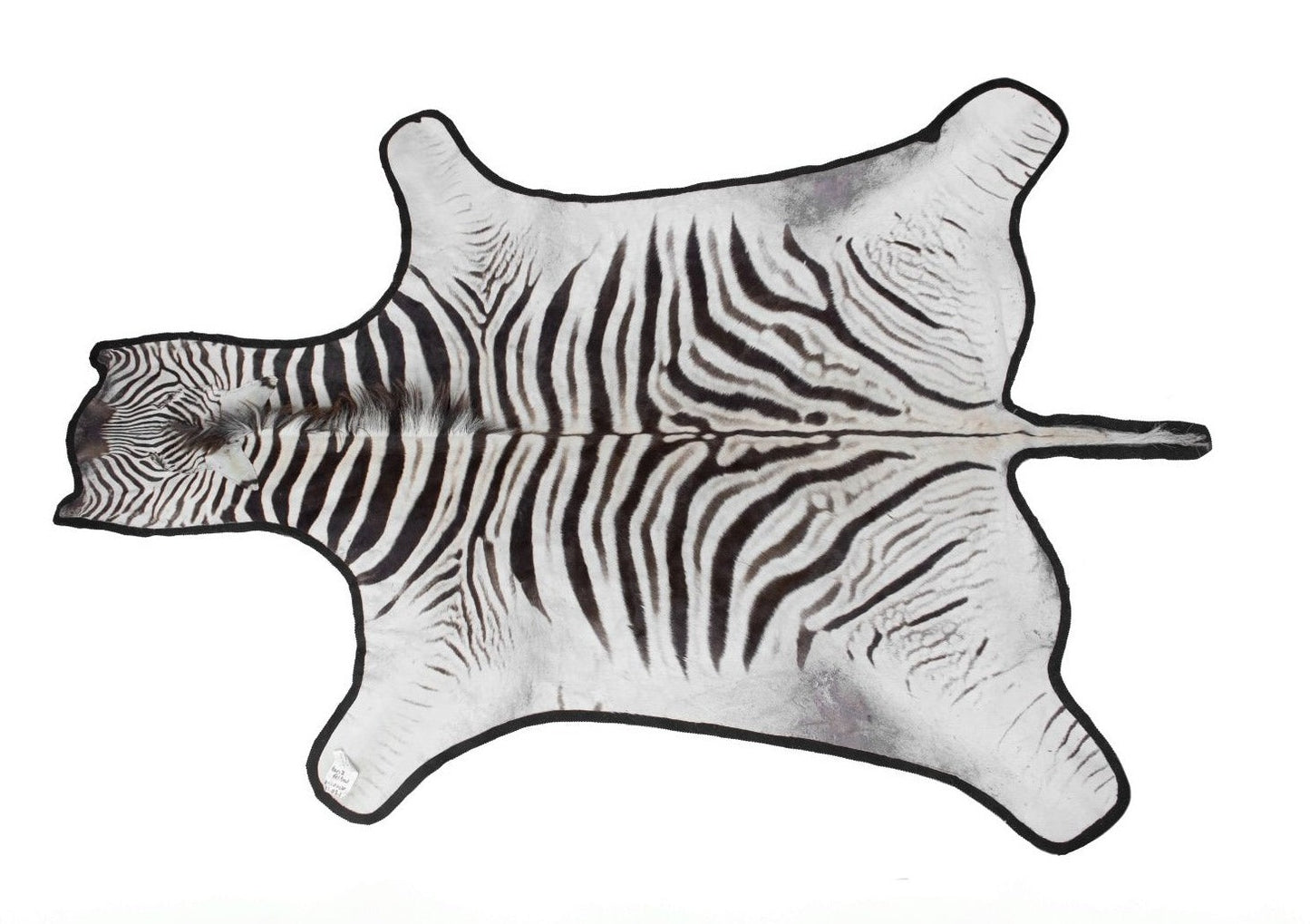 Zebra Hide