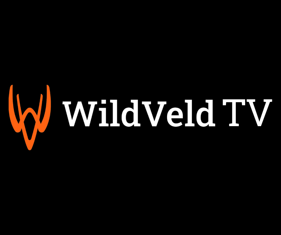 Load video: WildVeld TV Sizzle Reel